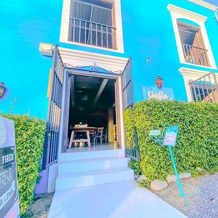 Gallo Azul Hotel, En El Corazon De تودوس سانتوس المظهر الخارجي الصورة