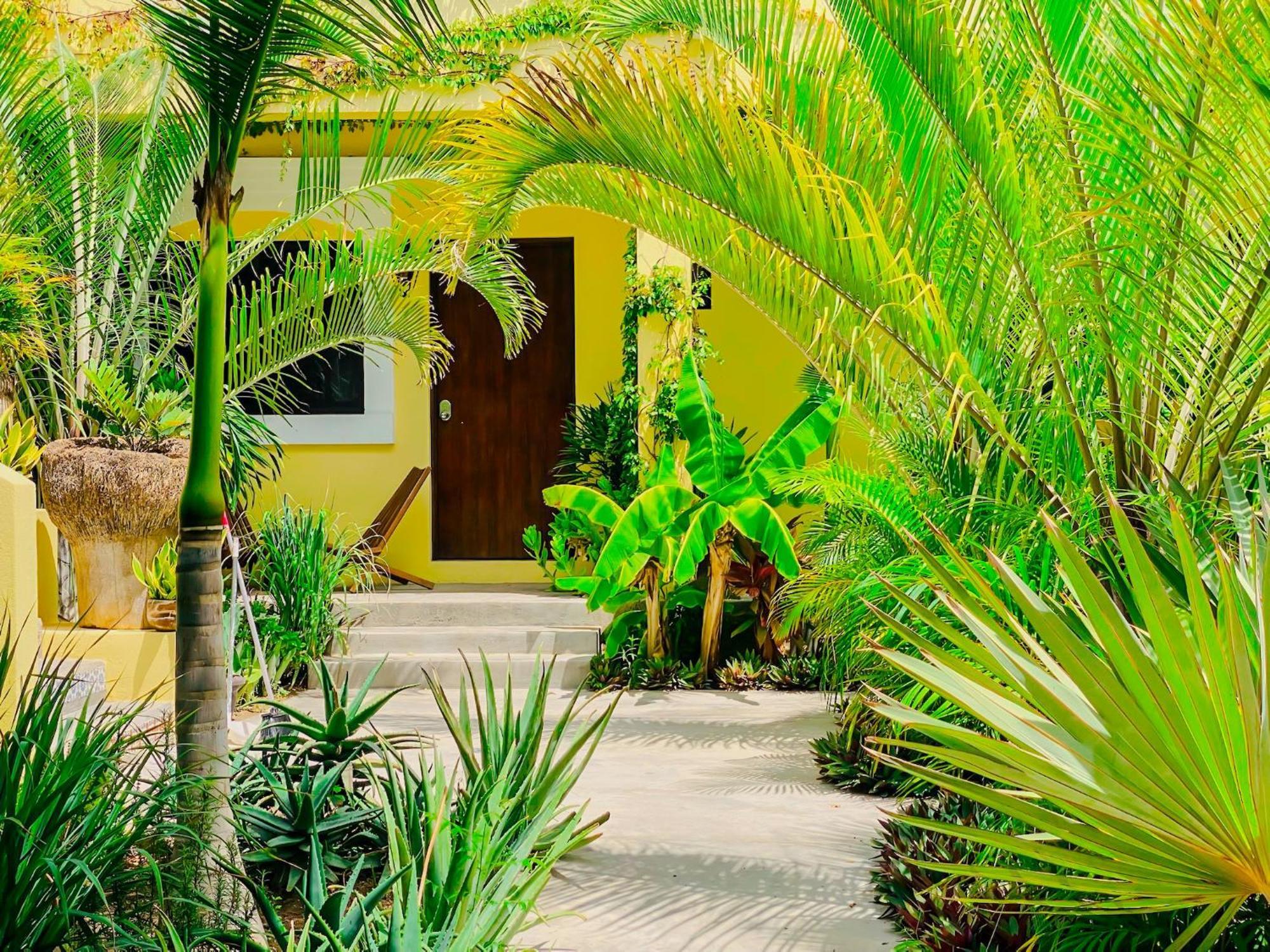 Gallo Azul Hotel, En El Corazon De تودوس سانتوس المظهر الخارجي الصورة