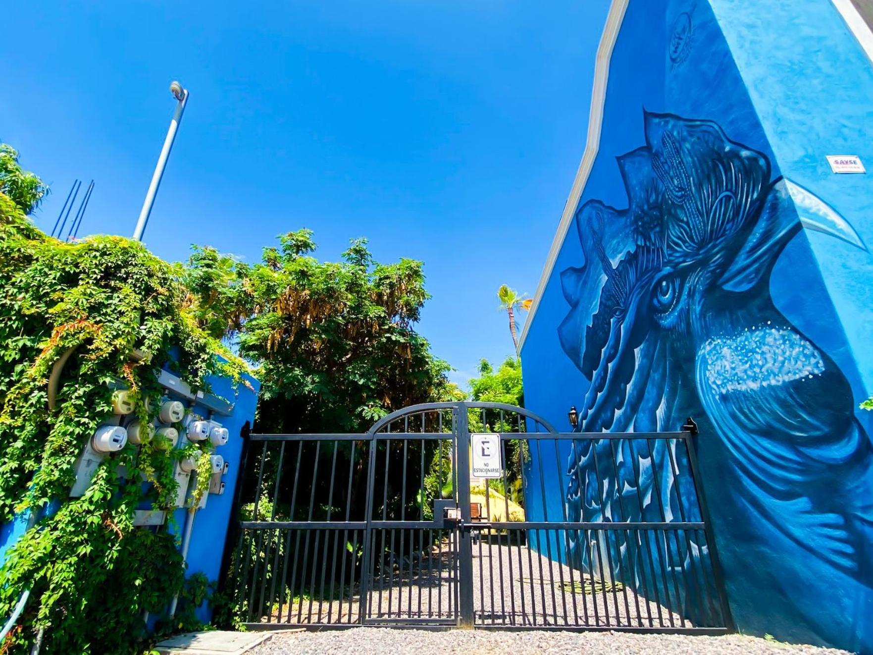 Gallo Azul Hotel, En El Corazon De تودوس سانتوس المظهر الخارجي الصورة