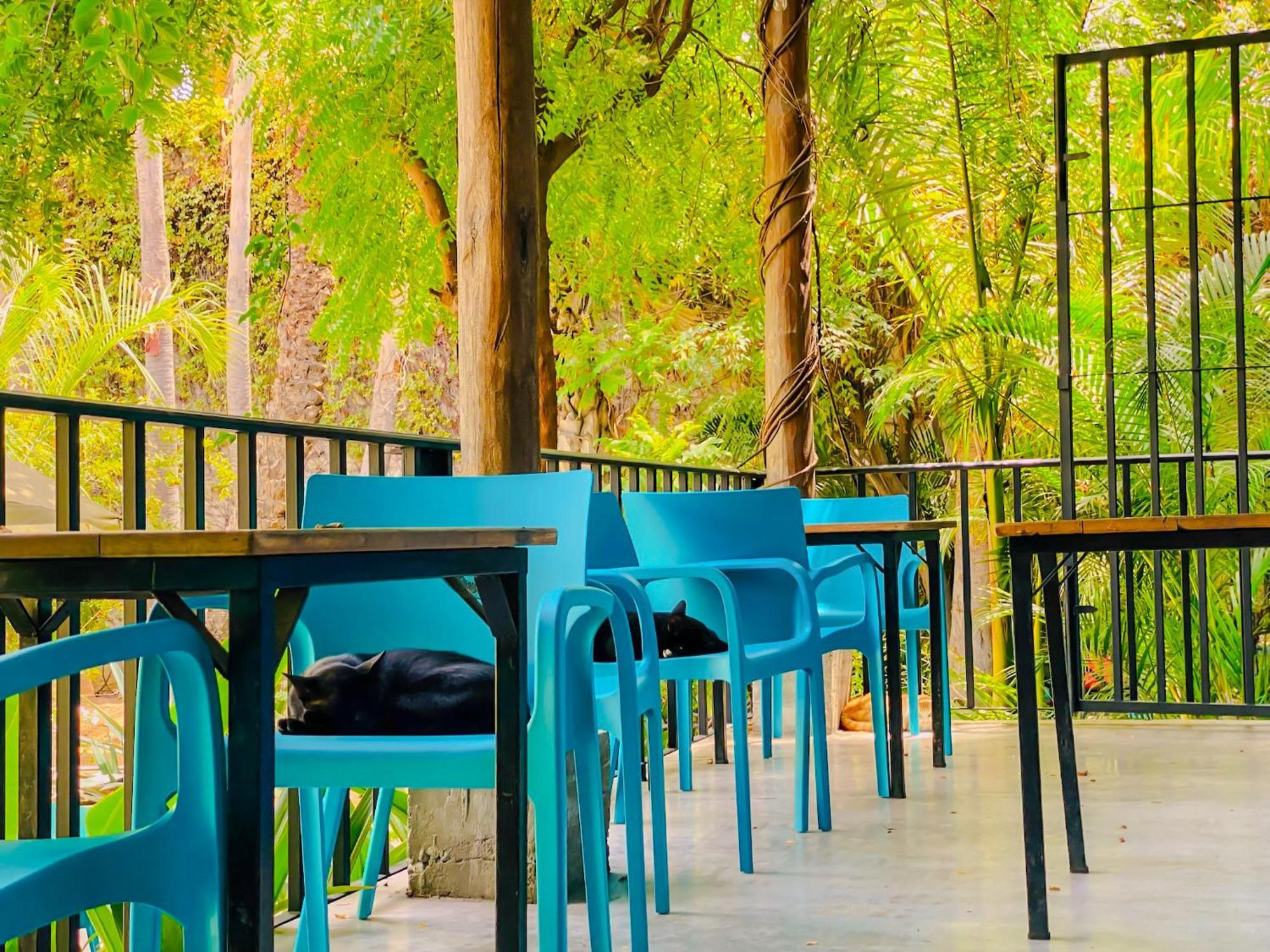 Gallo Azul Hotel, En El Corazon De تودوس سانتوس المظهر الخارجي الصورة
