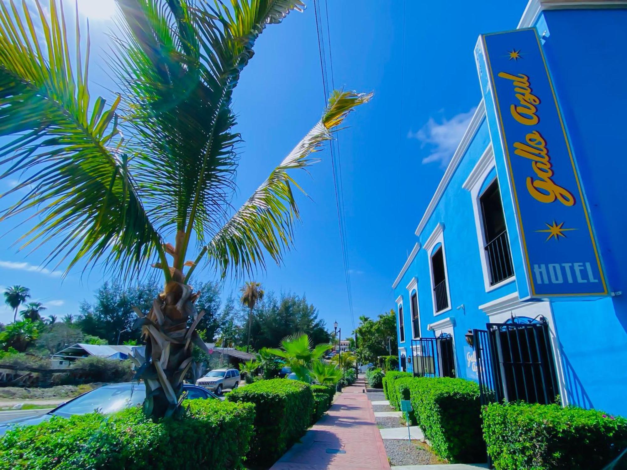 Gallo Azul Hotel, En El Corazon De تودوس سانتوس المظهر الخارجي الصورة