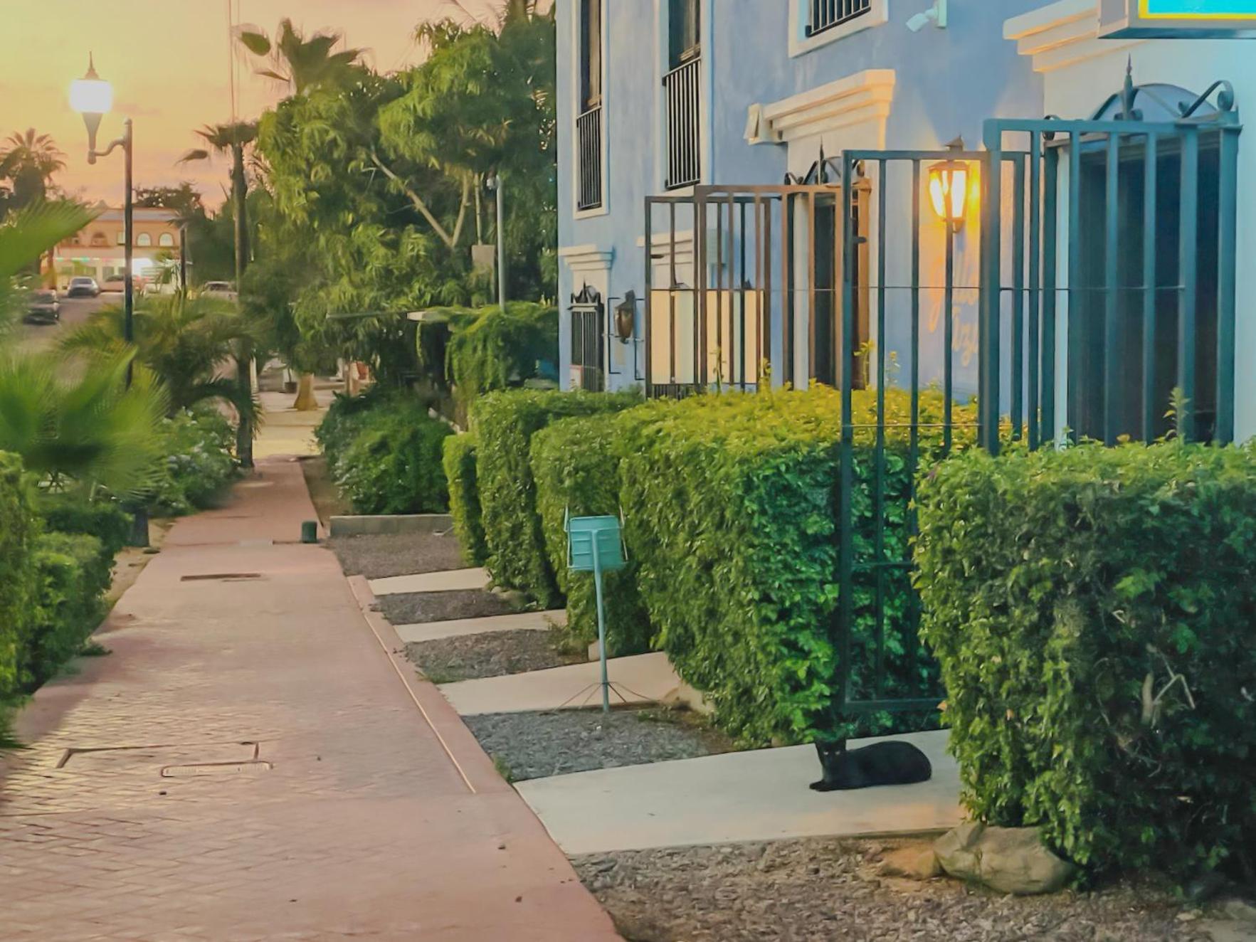 Gallo Azul Hotel, En El Corazon De تودوس سانتوس المظهر الخارجي الصورة