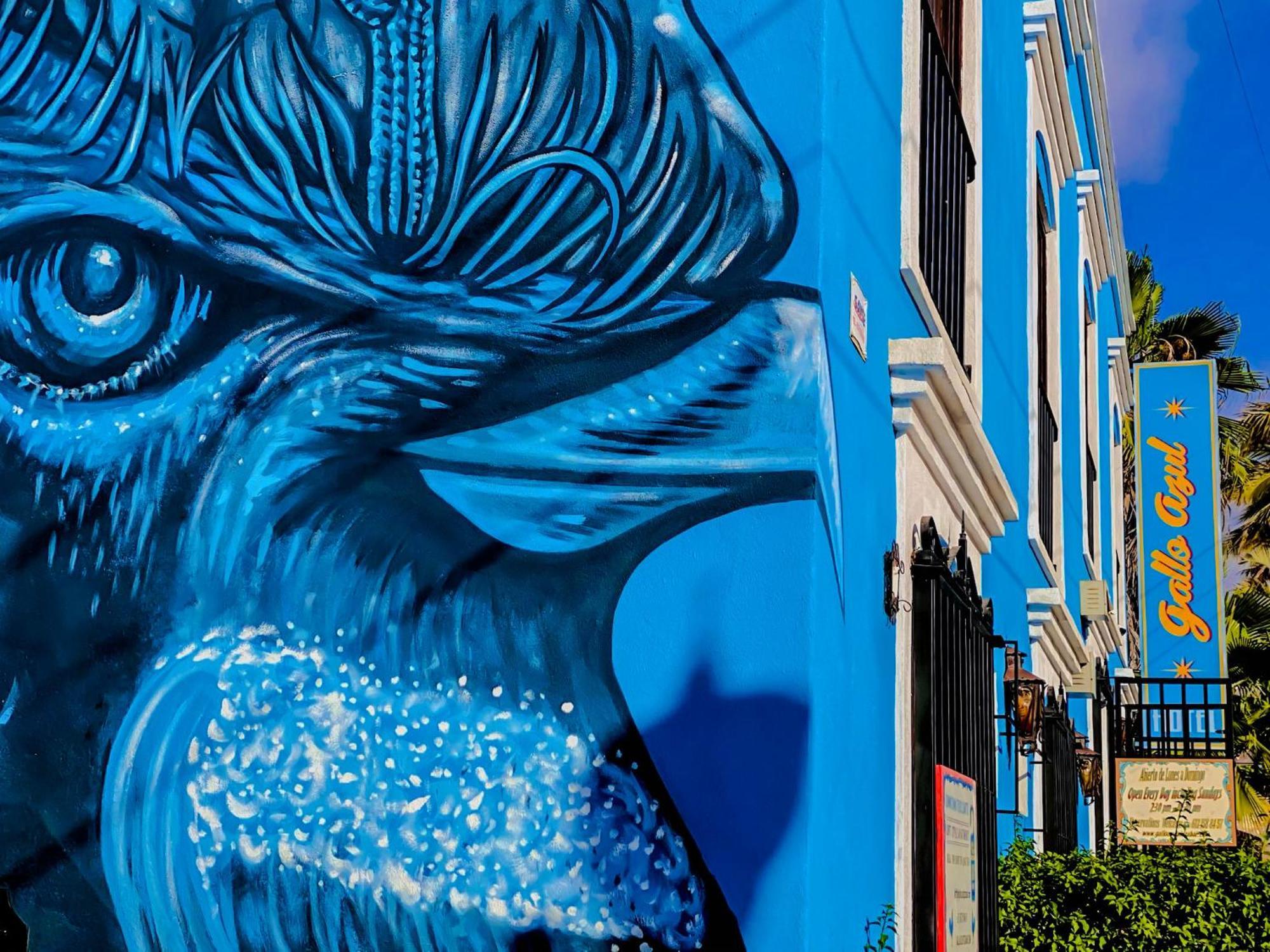 Gallo Azul Hotel, En El Corazon De تودوس سانتوس المظهر الخارجي الصورة